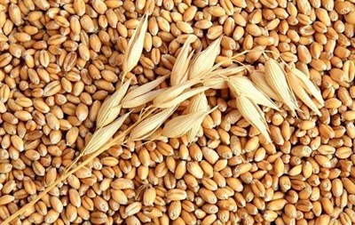 Из Украины не могут экспортировать около 25 млн тонн зерна
