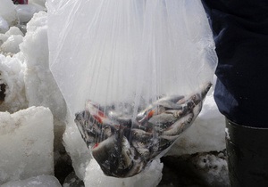 Экологи: Мертвая рыба в Киевском море может заразить воду в столице