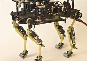 Новости науки: Швейцарцы сконструировали робокота