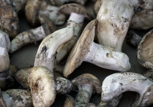Диетологи рекомендуют белые грибы на замену красному мясу