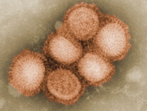 Число заболевших гриппом H1N1 приближается к 100 тысячам