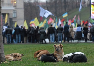 Треть украинцев готовы выйти на акции протеста в случае значительного роста цен - опрос