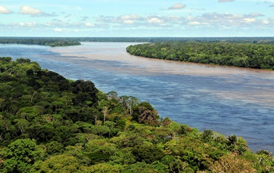 Ліси Амазонки на 38% зруйновано людьми - вчені