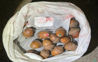 An employee of an online store hid drugs in acorns