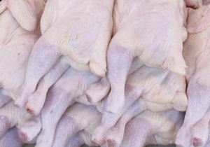 В Киевской области на обочину выбросили около 15 тонн курятины