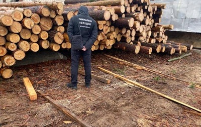 На Киевщине разоблачили крупную схему нелегальной вырубки и сбыта древесины