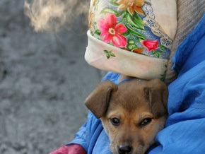 Поступления в Пенсионный Фонд вновь превысили план