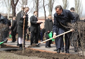 В Енакиево засохло дерево, посаженное Януковичем
