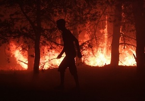 За сутки в Украине сгорели 12 га леса