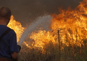 В Украине тушат два пожара, которые уже уничтожили 500 га леса
