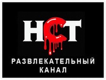 По итогам первого полугодия 2008 года аудитория канала «Настоящее Страшное Телевидение» превысила 2 000 000 зрителей.