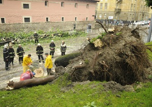 В результате урагана во Львове пострадали пять человек