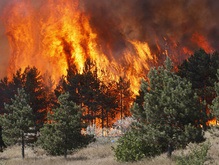 Грузия потребует возмещения ущерба от РФ за сгоревший в районе Боржоми лес