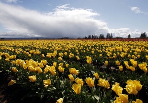 Прогноз погоды на вторник, 20 апреля