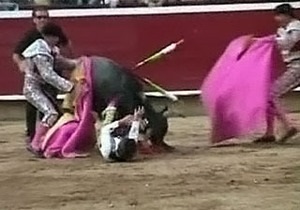 На корриде в Колумбии бык поднял на рога 12-летнего мальчика