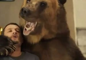Иньеста в рекламе подружился с медведем