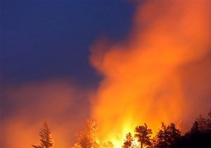 В Киевской области горело четыре гектара леса