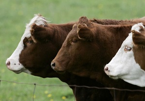 Ъ: Украина отменила ужесточение контроля за импортом мяса