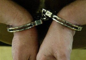 Арестованные в Европе члены  русской мафии  оказались грузинами