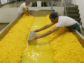 Рынок сыра консолидируется с рынком цельномолочной продукции