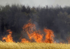 В Украине за сутки от пожаров выгорело свыше 625 га леса