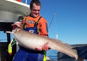 Новости Великобритании: Житель Шетландских островов поймал мольву рекордных размеров