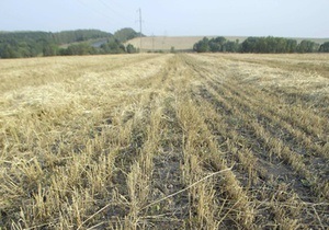 В этом году Украина собрала более 54 млн тонн зерна