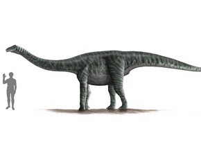 Длинношеие динозавры не могли высоко поднимать голову