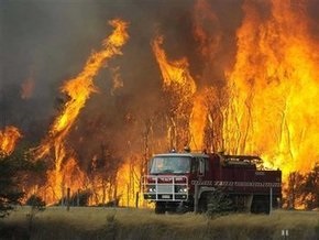 Число погибших в результате лесных пожаров в Австралии достигло 128 человек
