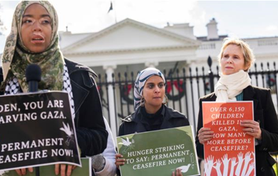Актриса Синтия Никсон объявила голодовку в поддержку Сектора Газа