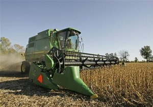 Аналитики: Экспорт украинских зерновых сократится на треть