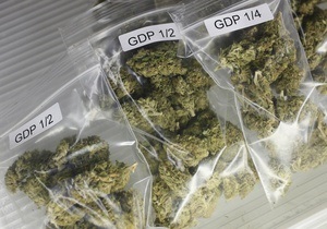 У жителя Полтавской области изъяли 120 кг марихуаны