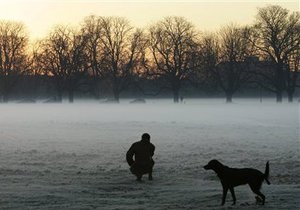 Новости Великобритании: В Великобритании собаководы жалуются на маргинализацию собак