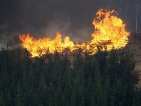 Австралия готовится к худшему: жертвами пожаров стали 131 человек