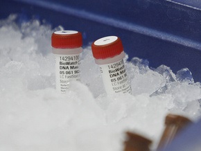 Российские ученые заявили, что создадут вакцину от H1N1 за три месяца