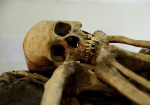 В Ярославской области обнаружены 15 человеческих скелетов
