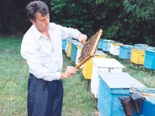 Ющенко подарил 24 детдомам по ведру меда с личной пасеки