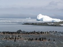 В 2008 году озоновая дыра над Антарктикой не достигнет гигантских размеров
