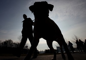 В Киеве будут жестче контролировать соблюдение правил выгула собак