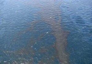 Взрыв на буровой платформе: Части Мексиканского залива грозит экологическая катастрофа