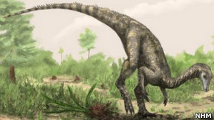 Найден новый претендент на звание древнейшего динозавра