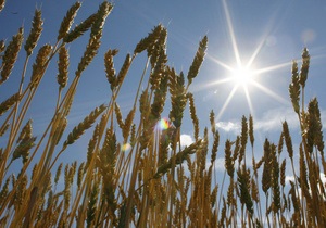 В США впервые запустят фьючерс на причерноморскую пшеницу