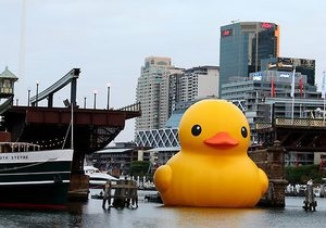 В Сиднее развели мост специально для гигантской резиновой утки