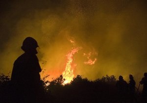 В киевском парке произошел пожар