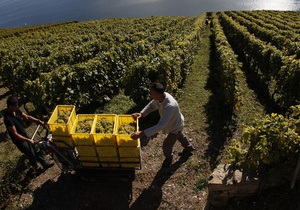 Вино Amalaya названо одним из лучших вин для лета