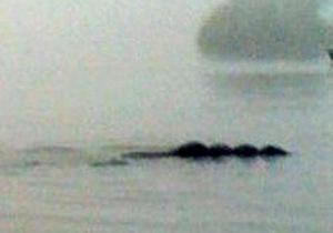 СМИ: Туристы обнаружили в британском озере неизвестное чудовище
