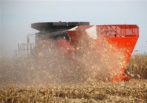 Украина может экспортировать порядка 20 млн тонн зерновых