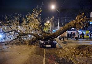 Шторм в Одессе: в центре города дерево рухнуло на автомобиль