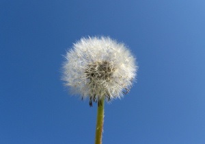 Прогноз погоды на четверг, 29 апреля