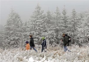 Великобритания намерена продать государственные леса